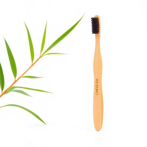 Electric Toothbrushes